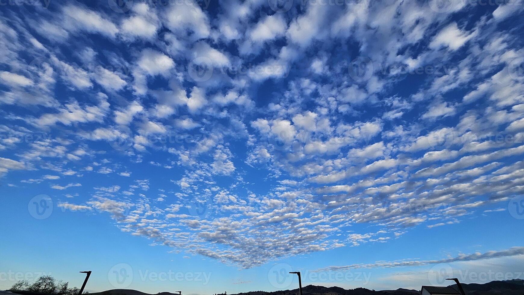 Beautiful cloud patterns formed in a summer afternoon in a blue sky with a silhouette of tree shadows in the background in walnut creek, California photo