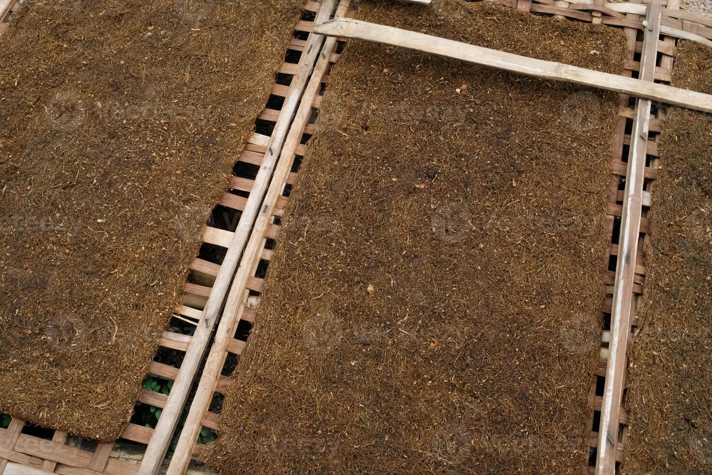 Preparing tobacco shreds before being processed in the factory. Tobacco is dried first under the sun. Cigarette Industry. Customs. Home business photo