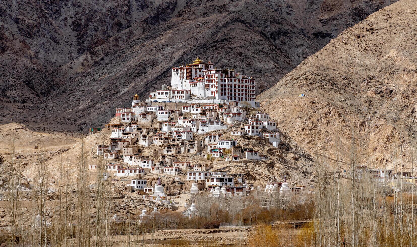 Chemrey Buddhist Monastery near Leh in northern India photo