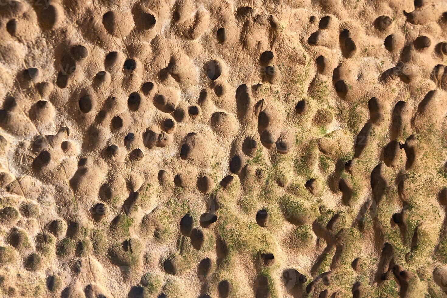 Close up of weathered rock surface with erosion patterns and mossy accents. photo