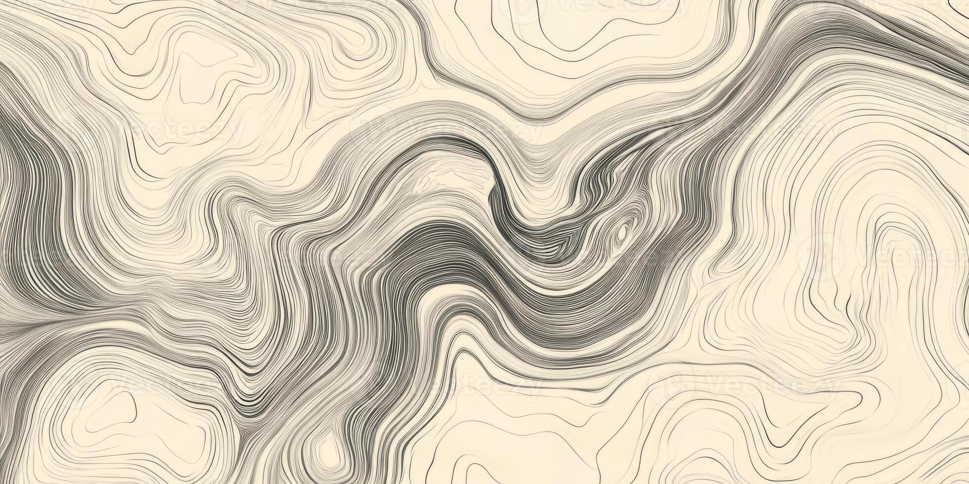 Abstract Topographic Lines Seamless Beige Black Swirl Pattern Texture Background photo