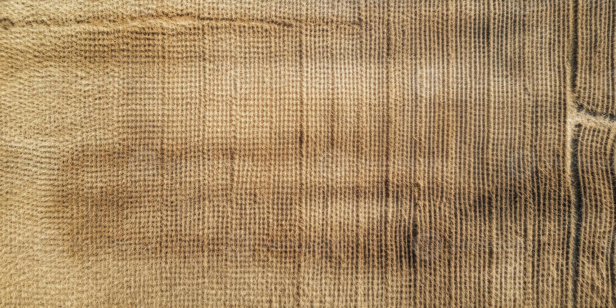 Aerial View of Textured Brown Agricultural Field with Furrows and Lines Capturing the Essence of Rural Farming Practices and Soil Patterns photo