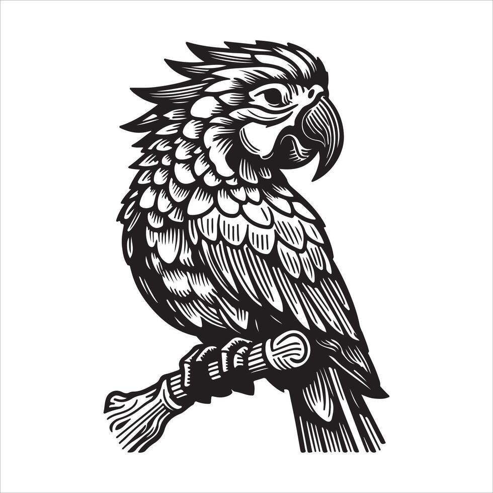 Parrot Silhouette in Flight vector