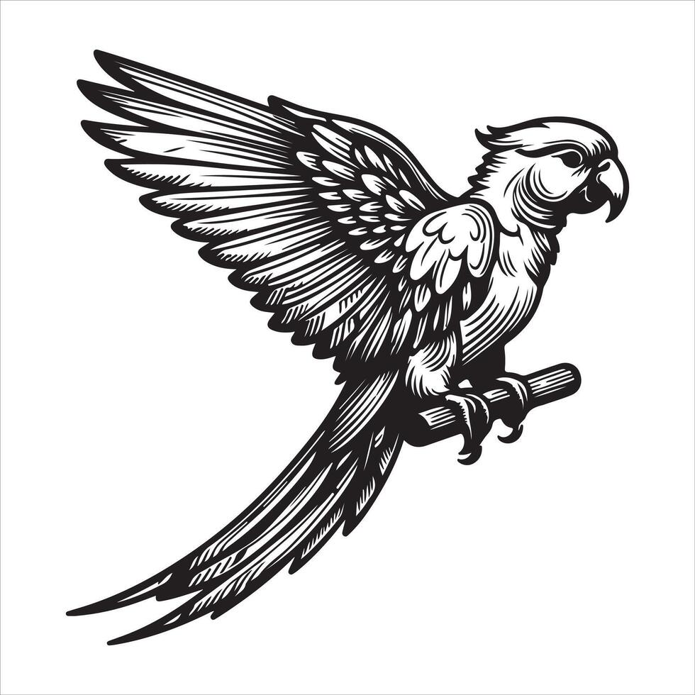 A set of graphic templates for cutting and printing a parrot in black and white vector