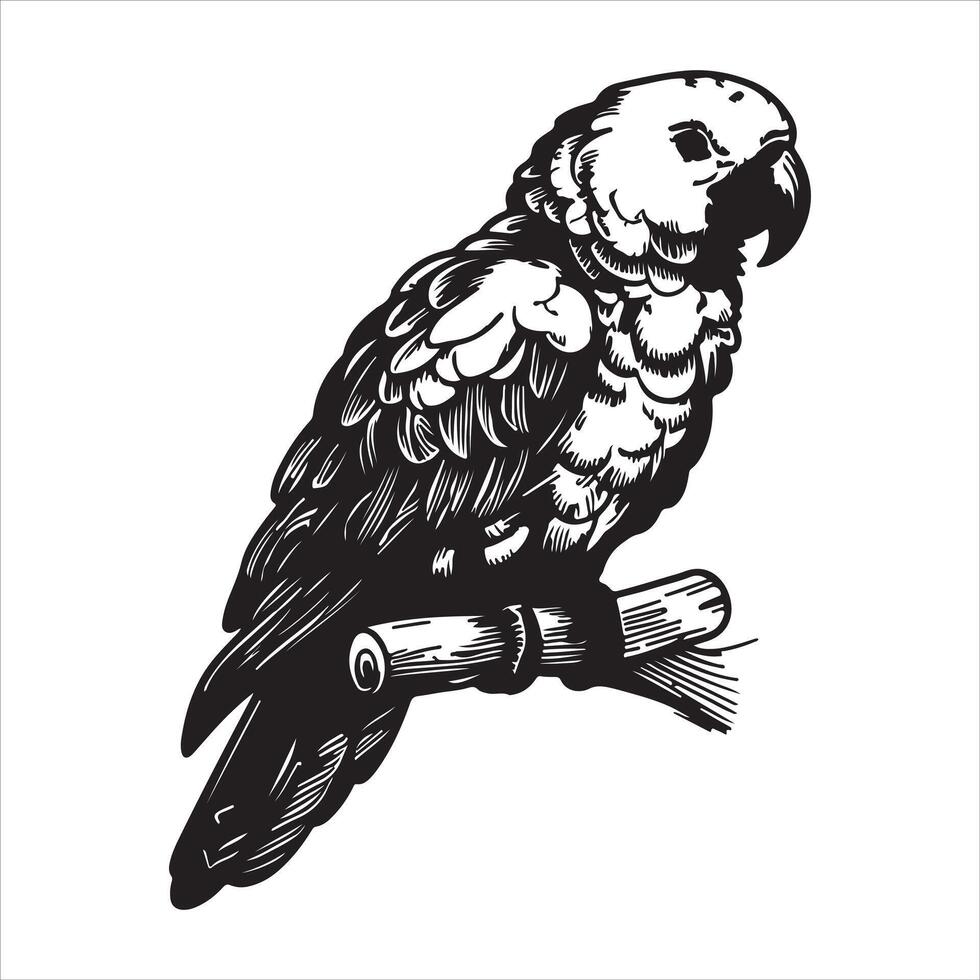 An illustration of a parrot's silhouette on a branch vector