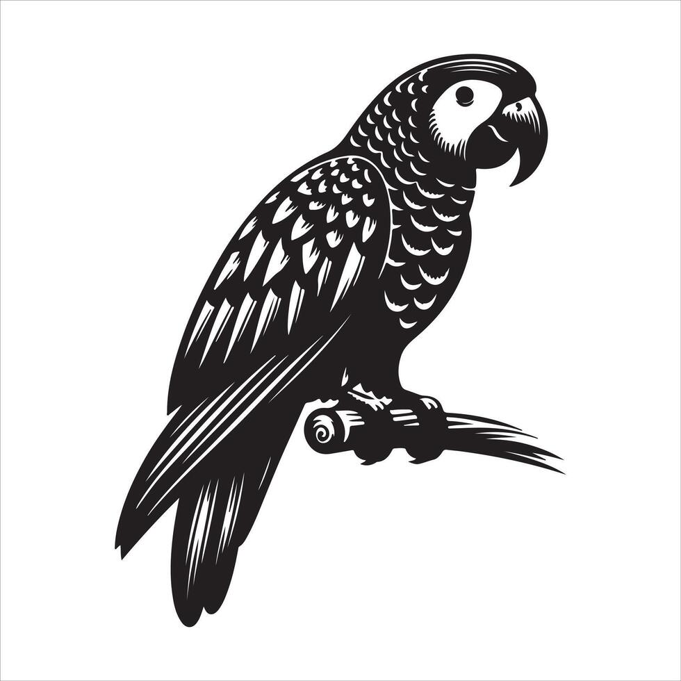 Black silhouette of a parrot bird on a white background vector