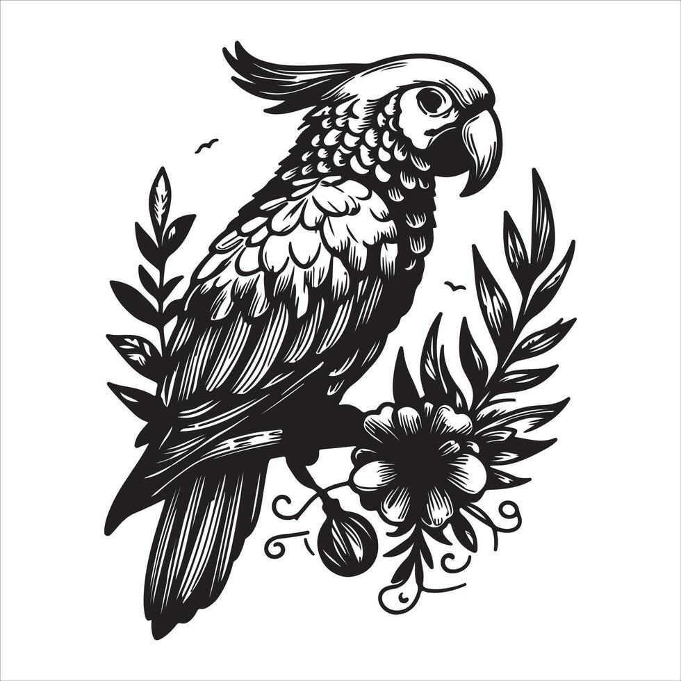 White background illustration with line art of an African Grey Parrot vector