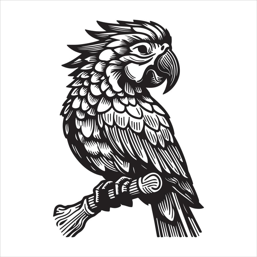 silhouette of a parrot Graphic illustration clip art isolated on a white background vector