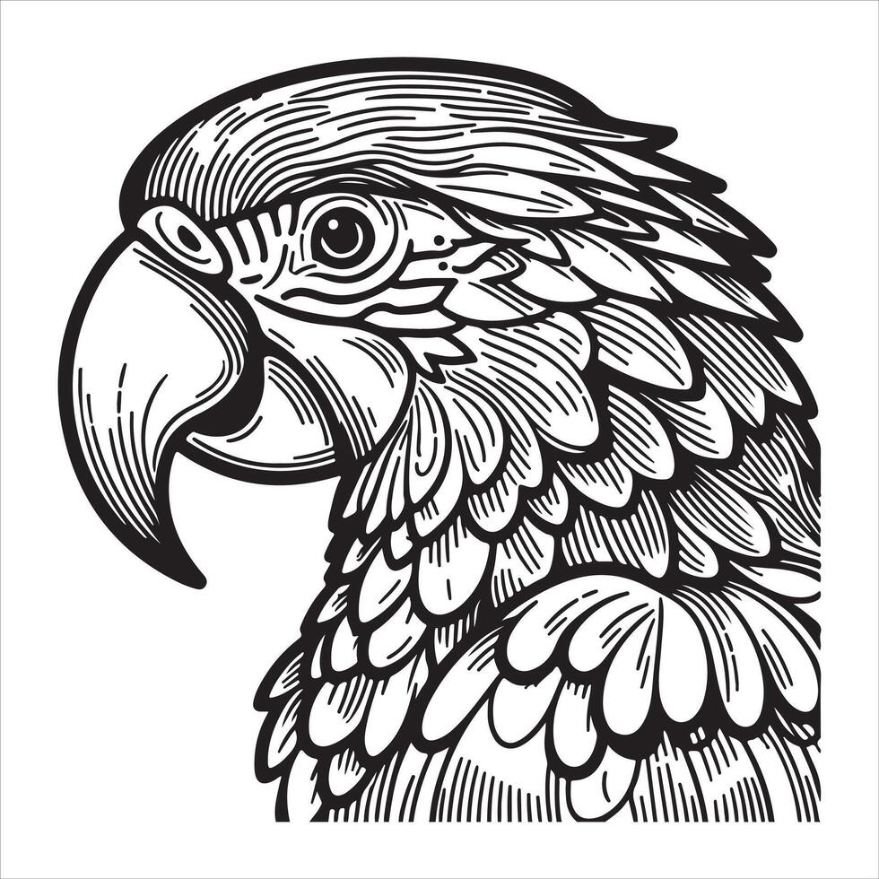 A realistic engraving of a parrot in dark white and gray on a wooden post vector