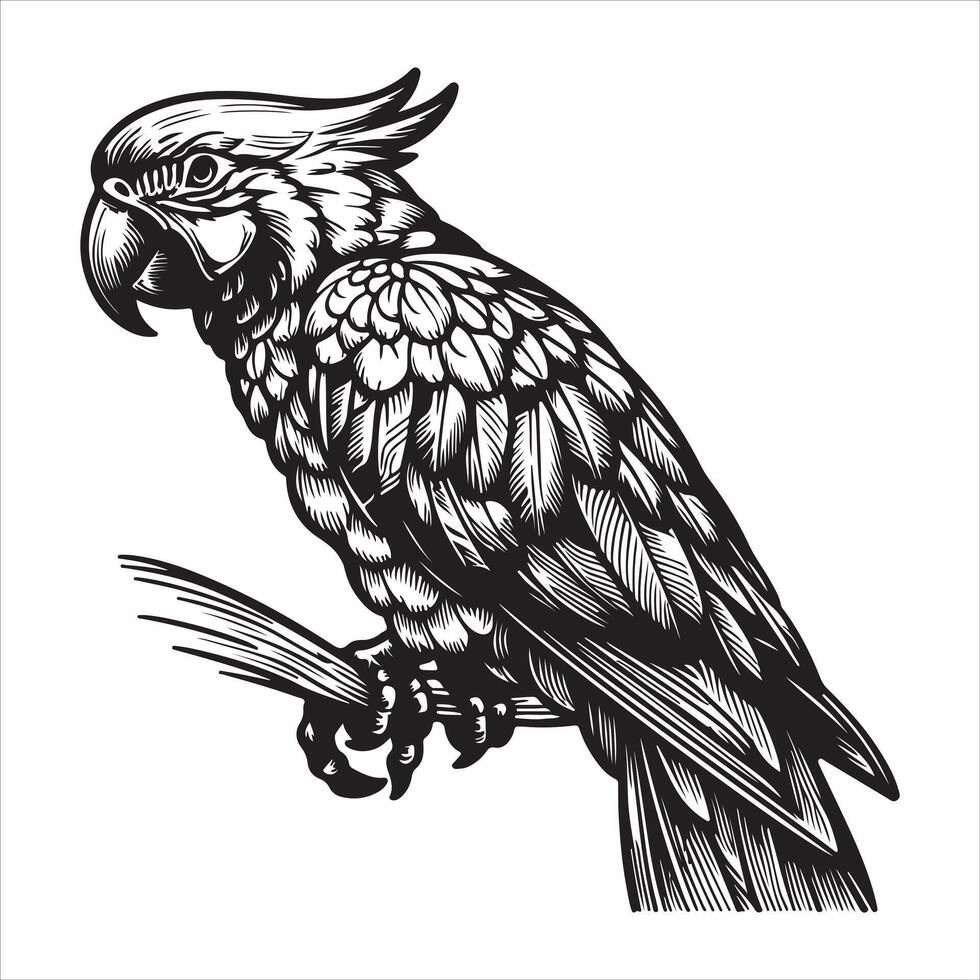 silhouette of a parrot. Black icon of a parrot on a white backdrop vector