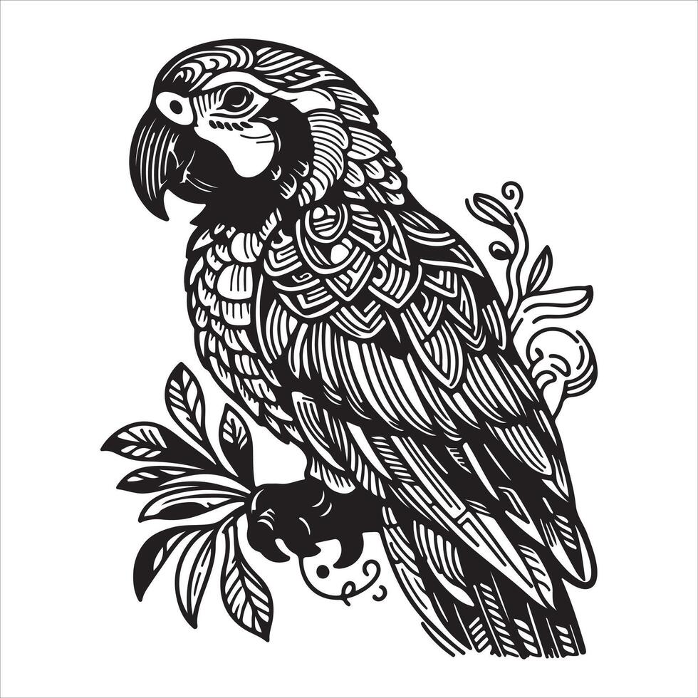 An antique engraved ink sketch of an isolated parrot pair. Background bird art of parakeets vector