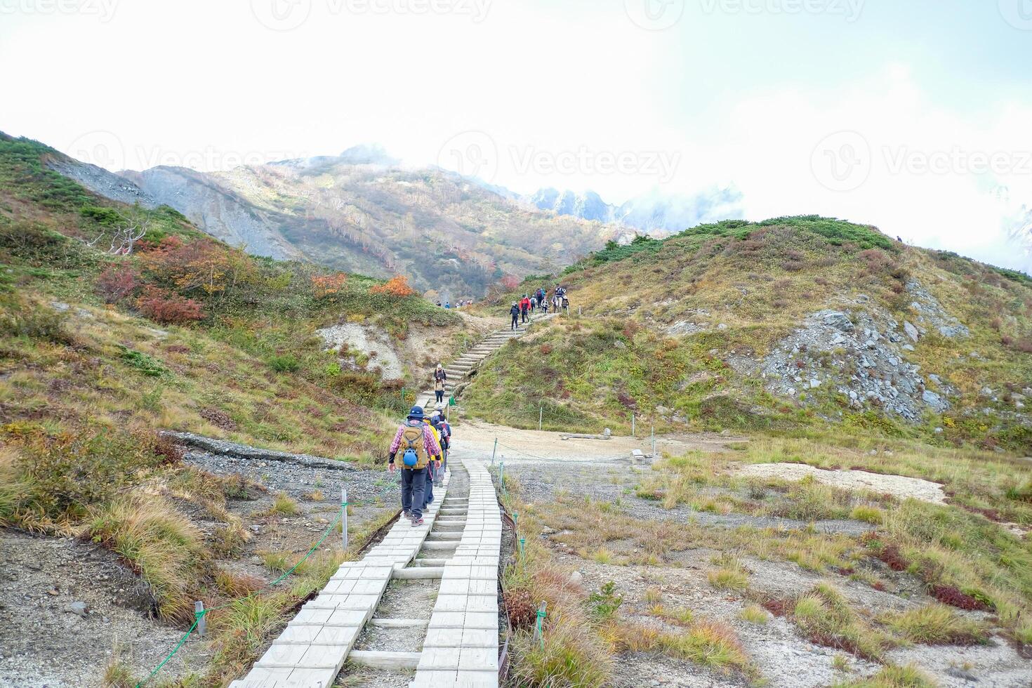 Happo Alpen Line Nature trail, Hakuba, Nahano, Japan, Scenic hiking trail in mountainous landscape photo