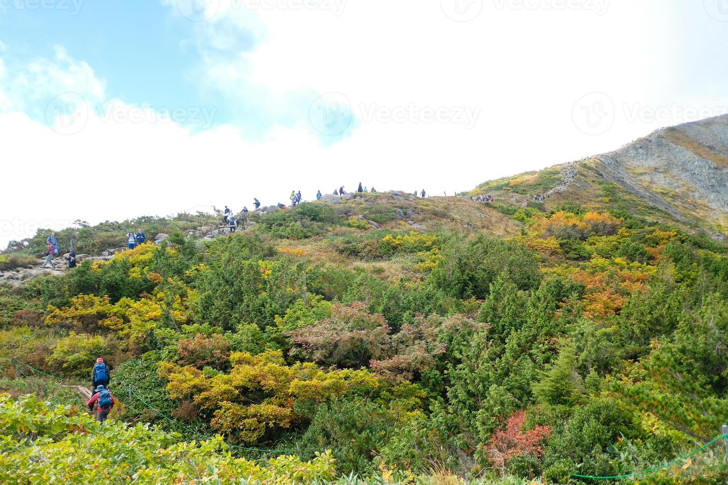 Happo Alpen Line Nature trail, Hakuba, Nahano, Japan, Lush hillside with hikers and vibrant foliage photo