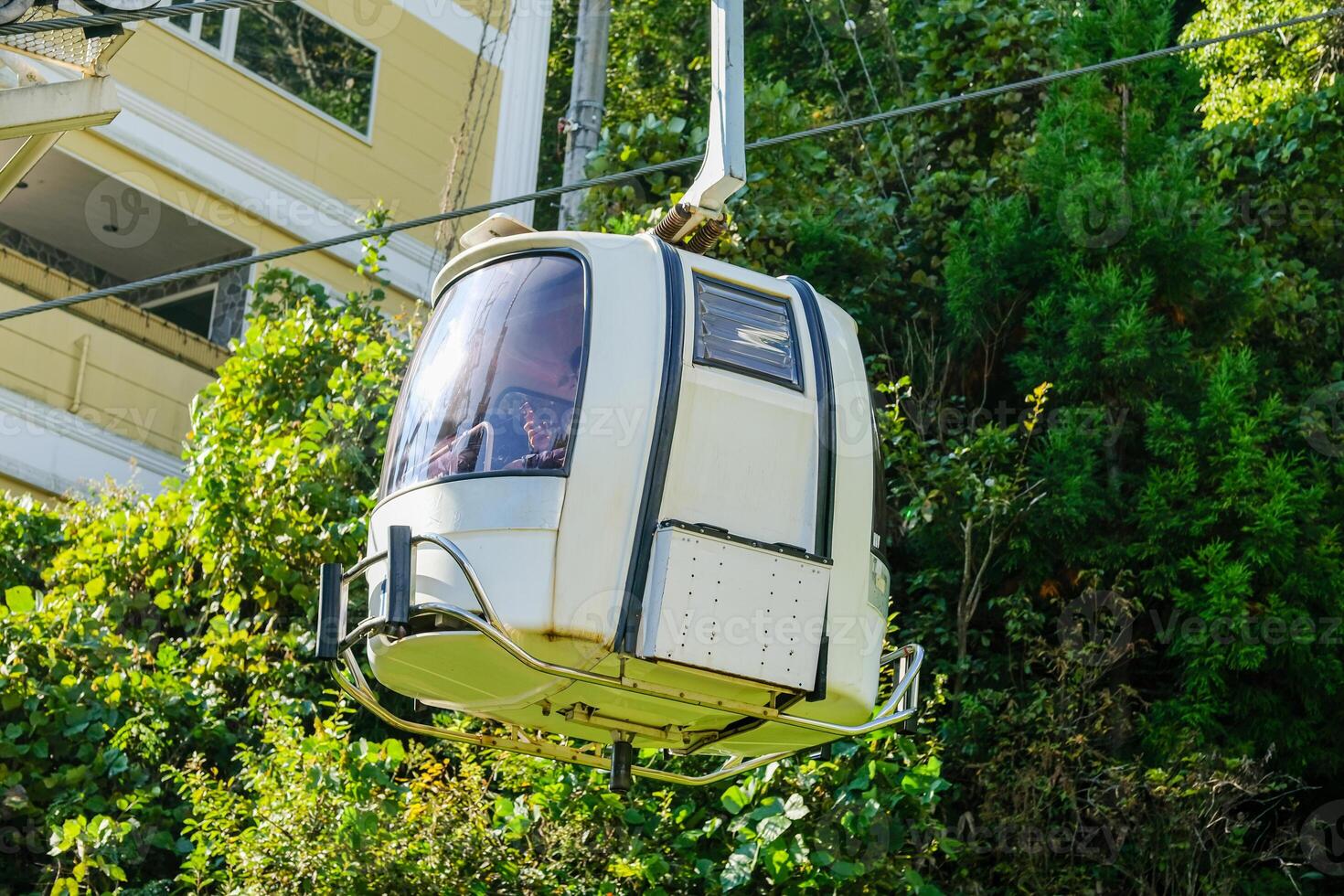 Happo Alpen Line Nature trail, Hakuba, Nagano, Japan, Cable car above lush greenery photo
