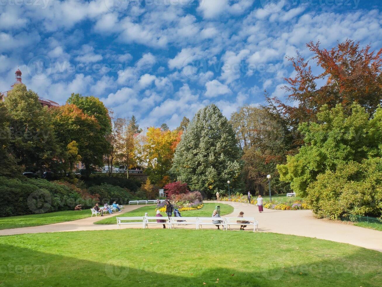 City park with trees and beautiful sky photo