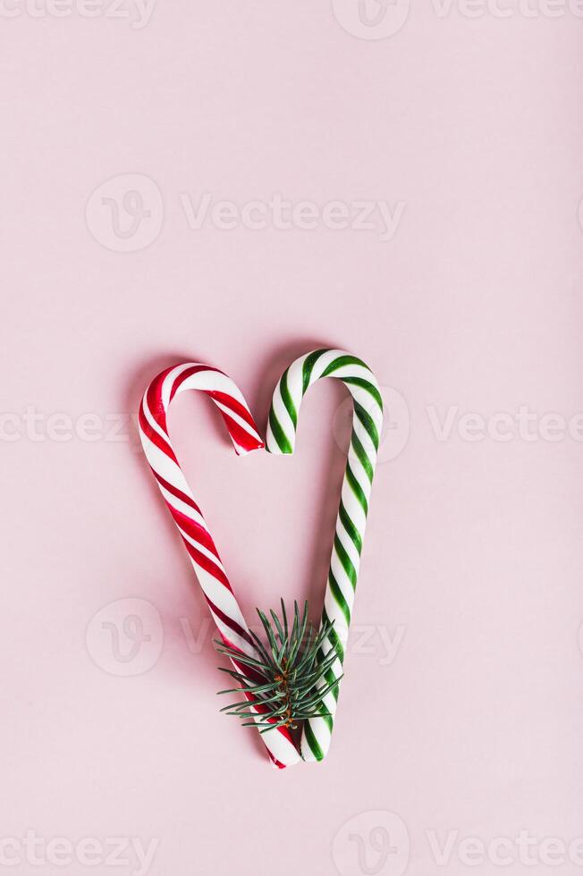 Heart made of red and green candy canes and fir branches on pink top and vertical view photo
