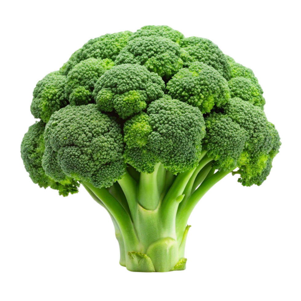 Fresh Green Broccoli Isolated on Transparent Background png
