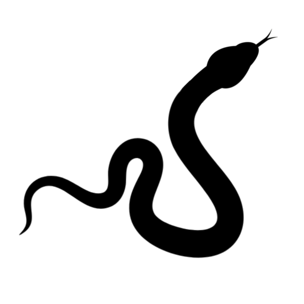 Black Snake Silhouette for Design Projects png