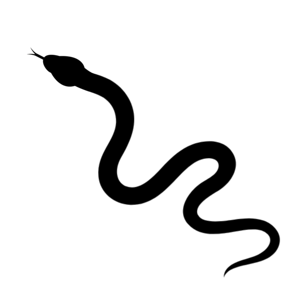 Black Snake Silhouette on Transparent Background png