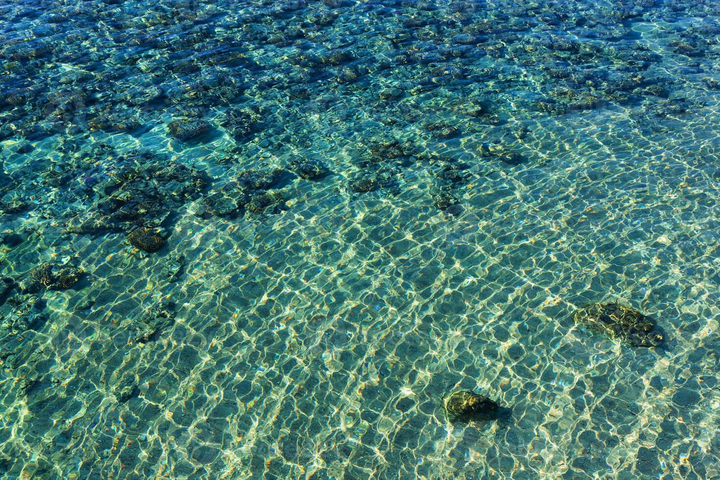 Red Sea Surface. Marine Background. Copy Space photo
