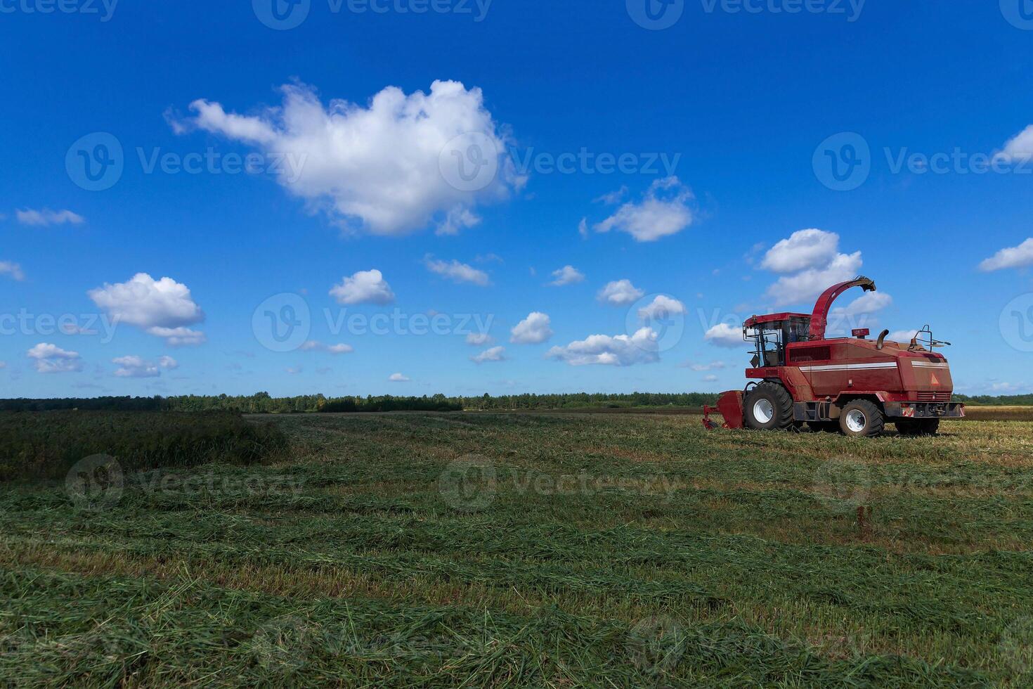 Red harvester in a rural field. Grain harvesting concept on a sunny summer day, side view. photo