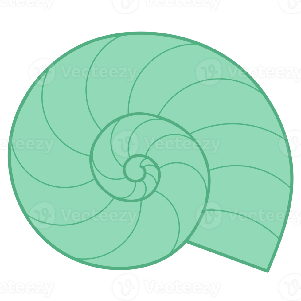 Flat illustration of seashell png