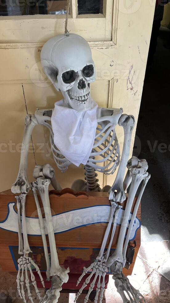 Human skeleton. A white plastic human skeleton sits at the front door of an ancient castle. photo