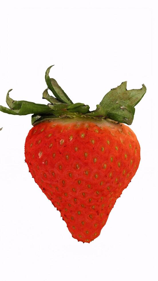 strawberry with white background photo