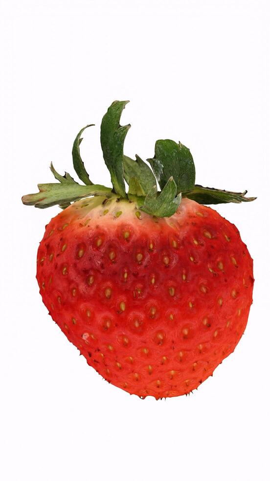 strawberry with white background photo