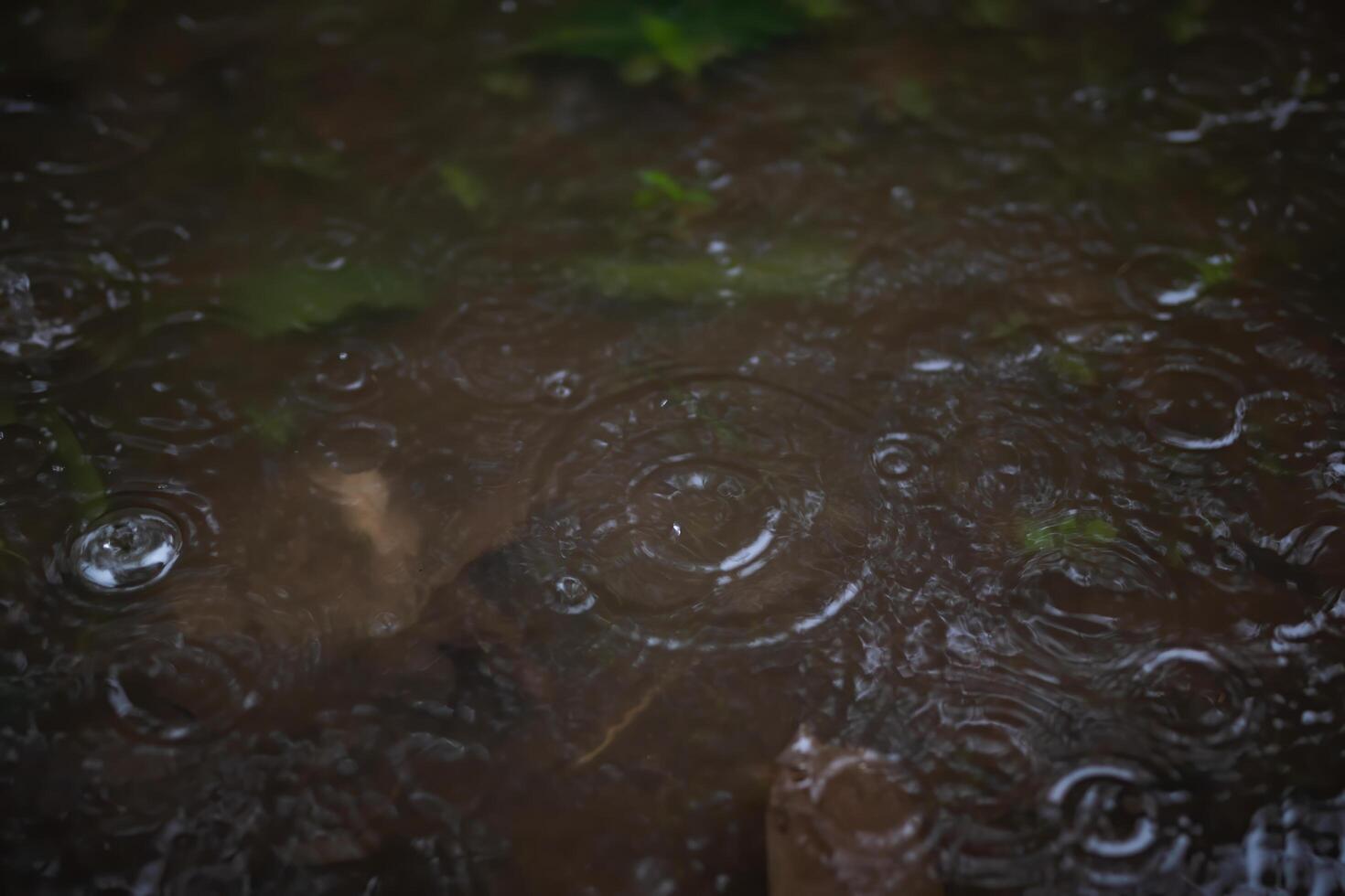 a rain droplet is on a table with a leaf in the middle. photo