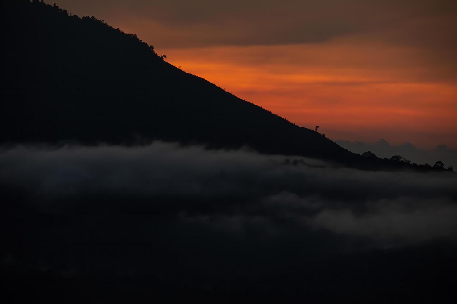 a mountain with a bird on the top of it photo