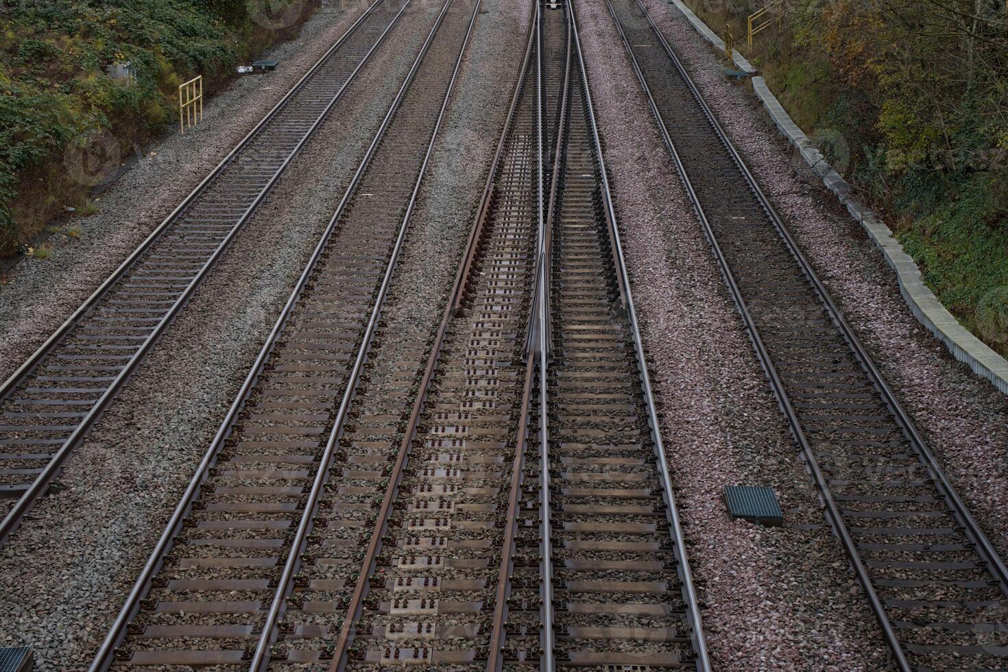 reil network from above photo