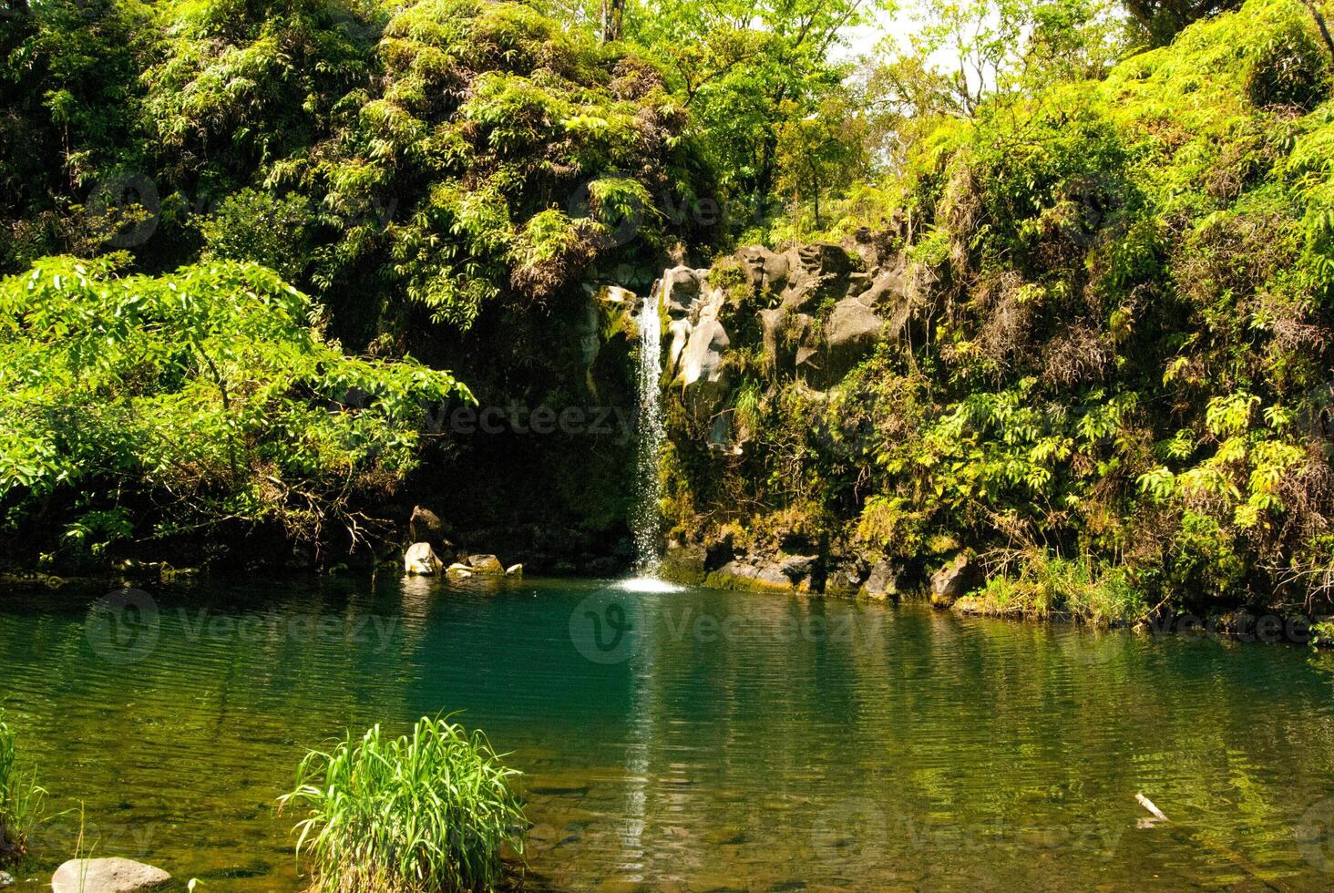Waterfall into Pool of Water off the Road To Hana, Maui Hawaii photo