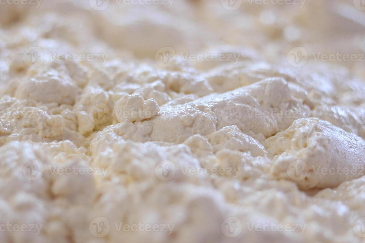 quark - a close-up view of the texture of cottage cheese mass in making organic curd photo