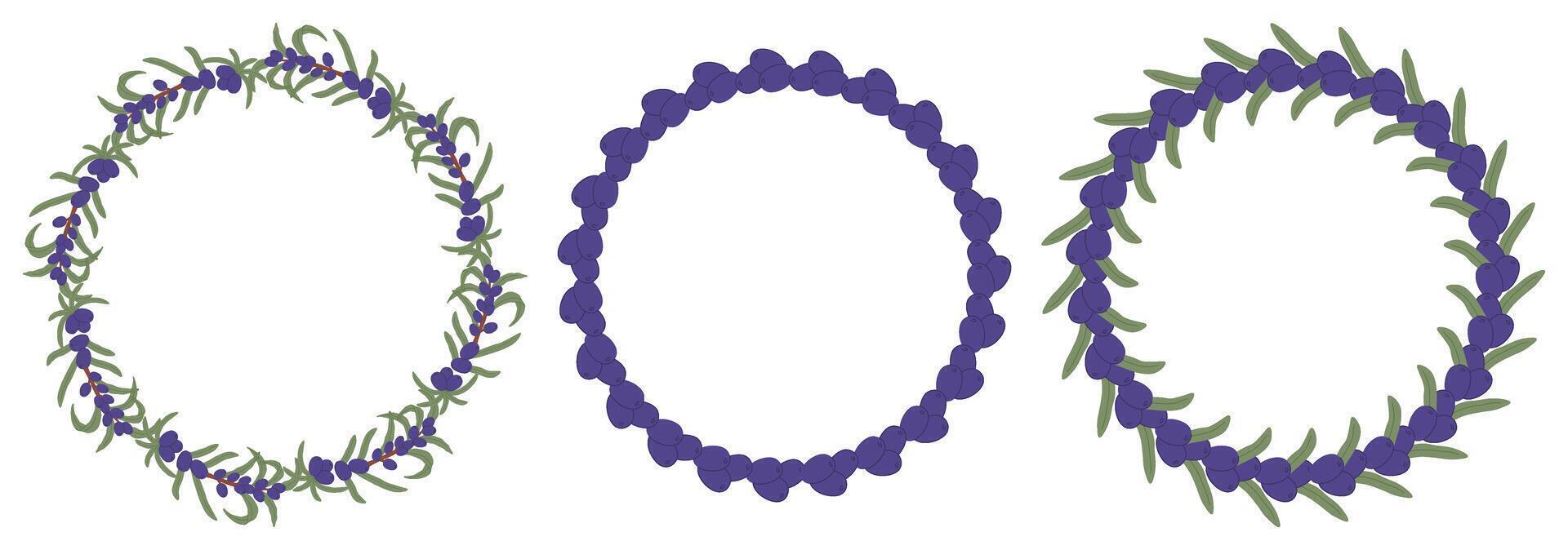 Circular frames are decorated with olives and leaves, creating a natural and elegant design vector