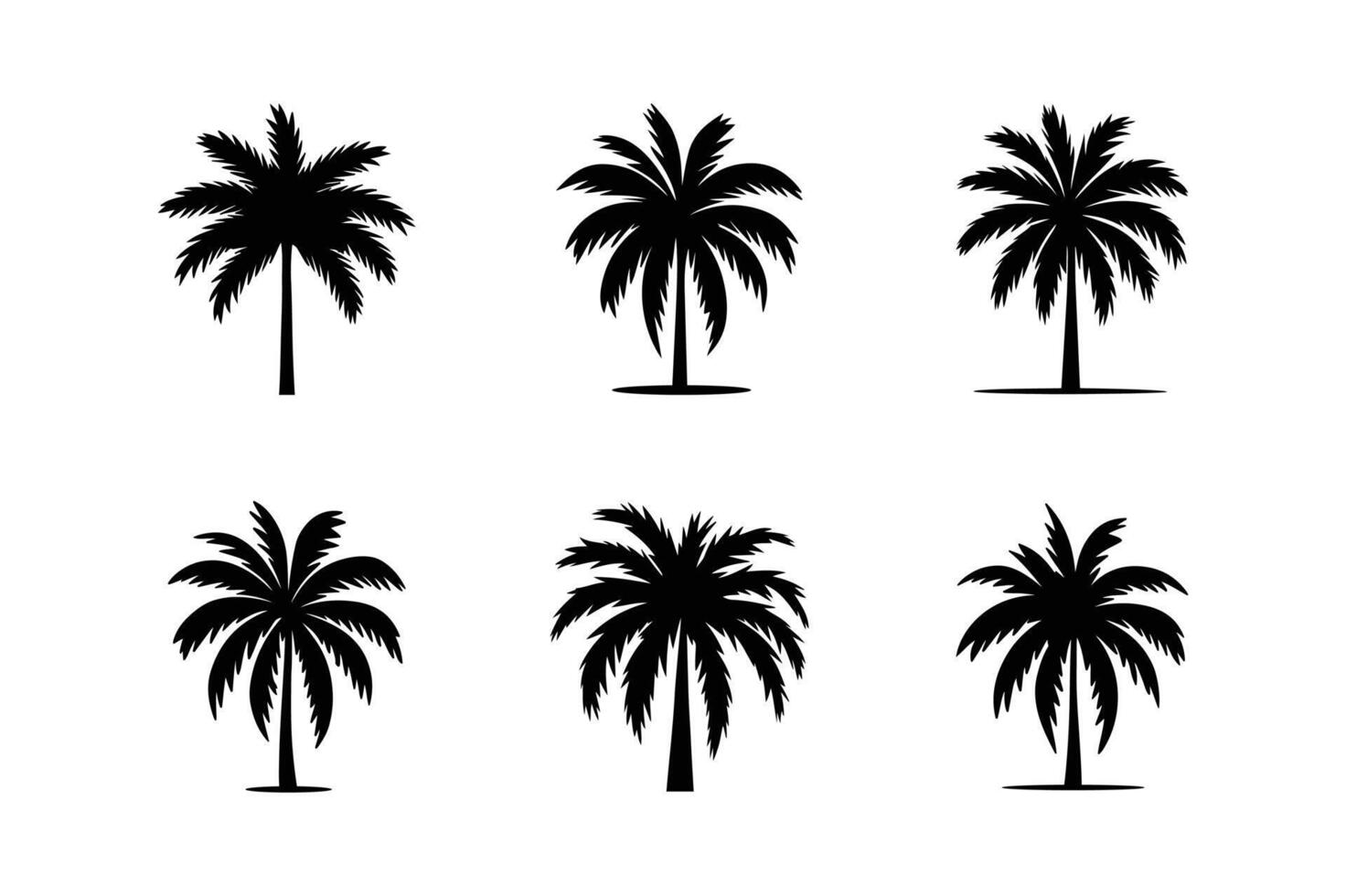 Elegant Palm Tree Set. Black Silhouettes on White Background vector