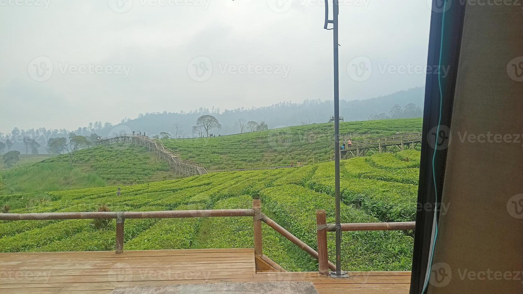 Morning tea garden camping photo