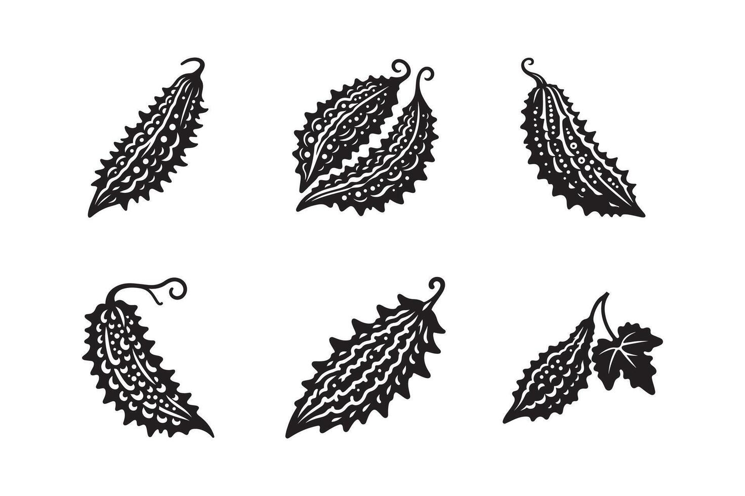 Bitter Gourd icon set Illustration. Fresh bitter gourd icon silhouette white background. vector