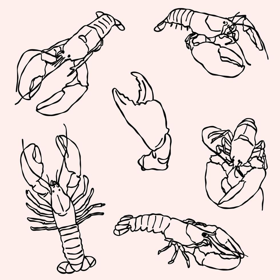 Lobster illustrations, line art in doodle style vector