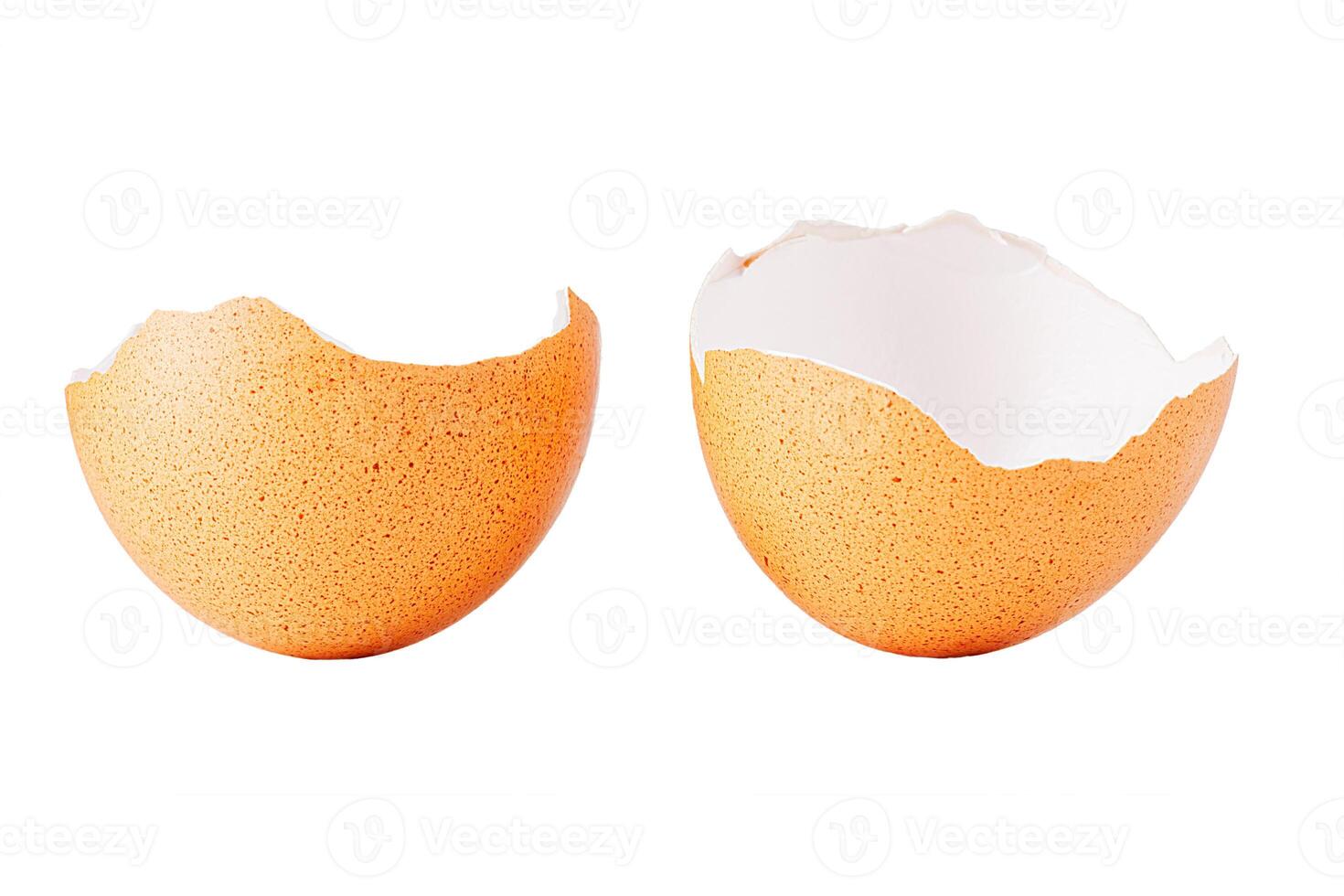 Egg shell isolated on white. Broken chicken egg shell isolated on white photo