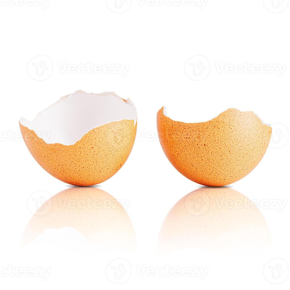 Egg shell isolated on white. Broken chicken egg shell isolated on white photo