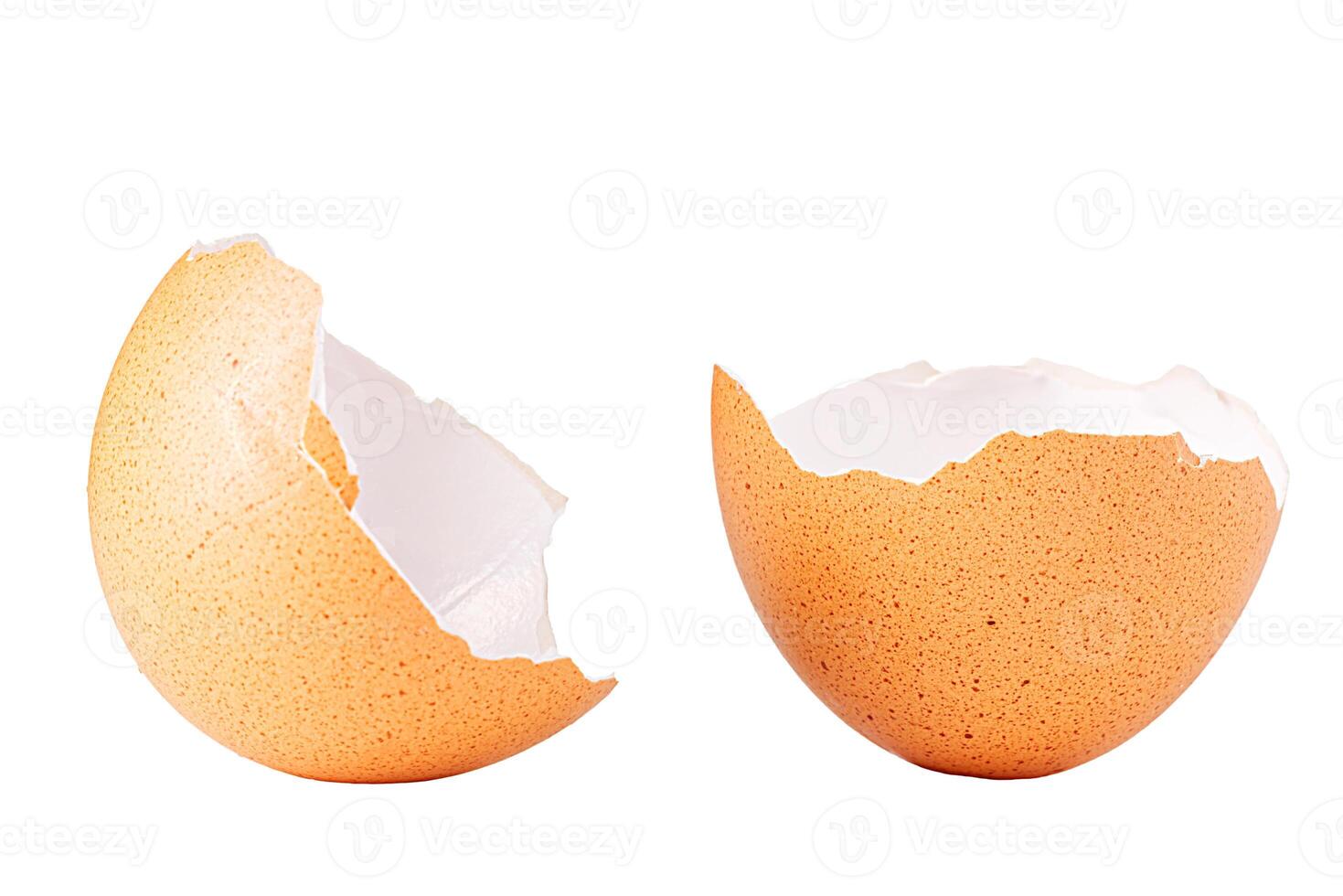 Egg shell isolated on white. Broken chicken egg shell isolated on white photo