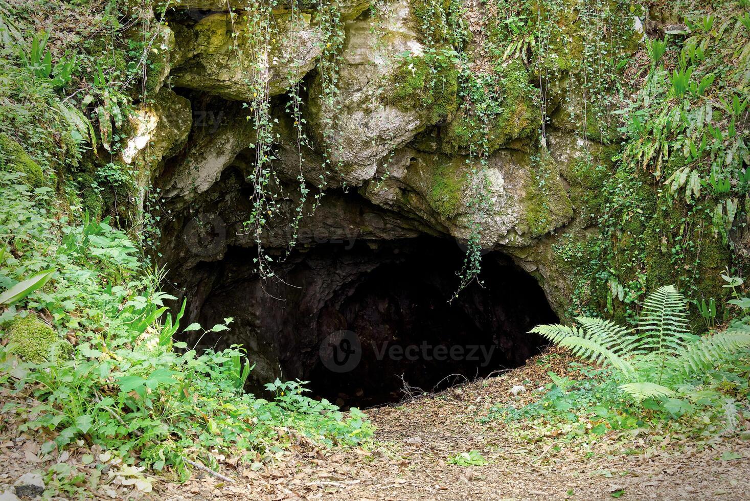 Enter to cave in green forest in National Park, Croatia. View of the entrance to the cave photo