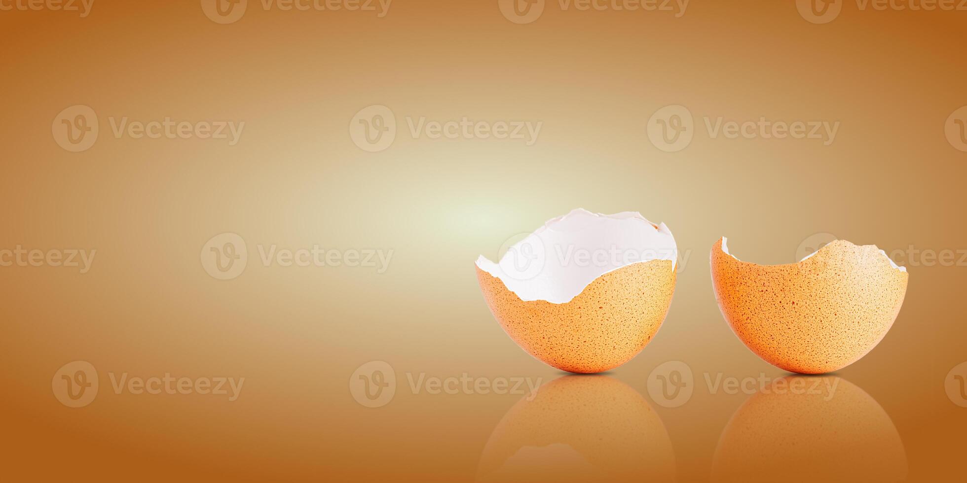 Egg shell isolated on white. Broken chicken egg shell isolated on brown photo