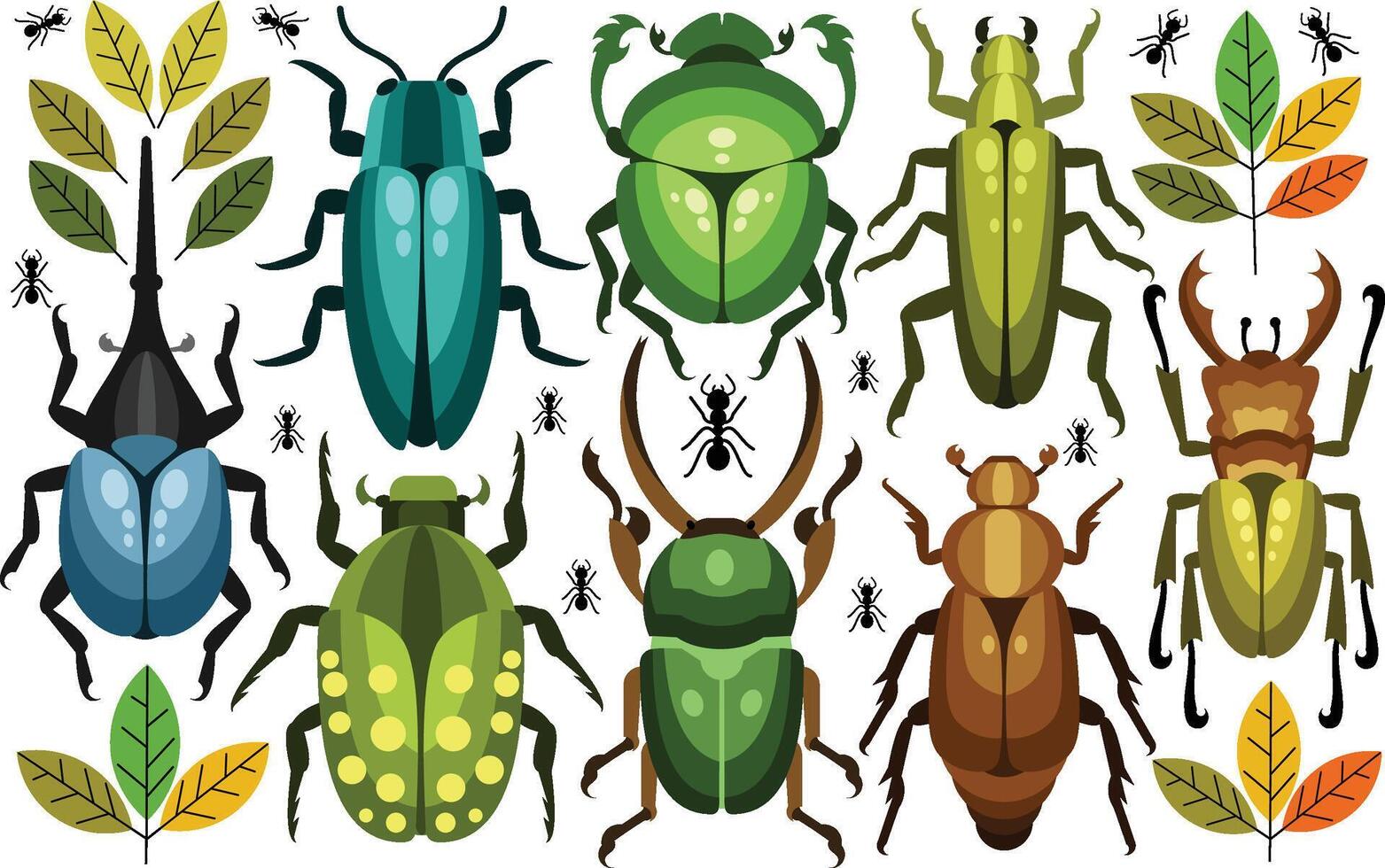 Insects Bug Illustration vector