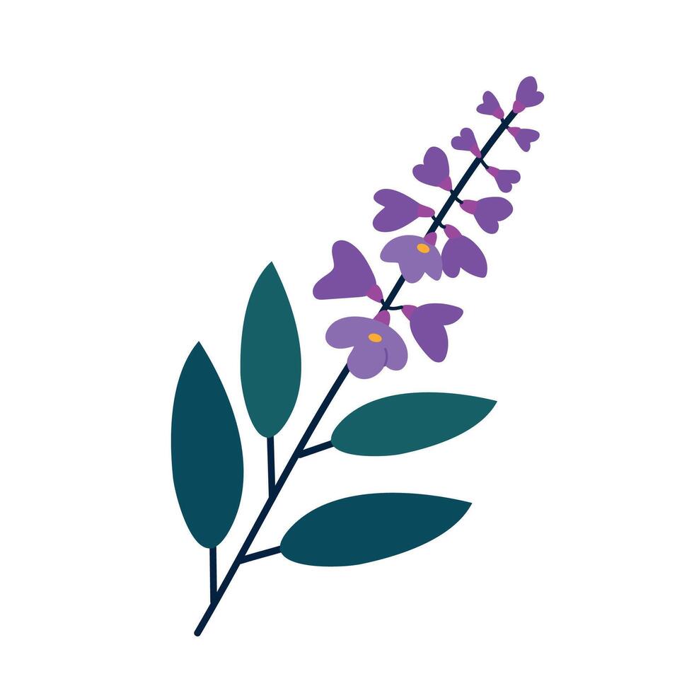 Sage flower icon clipart avatar logotype isolated illustration vector