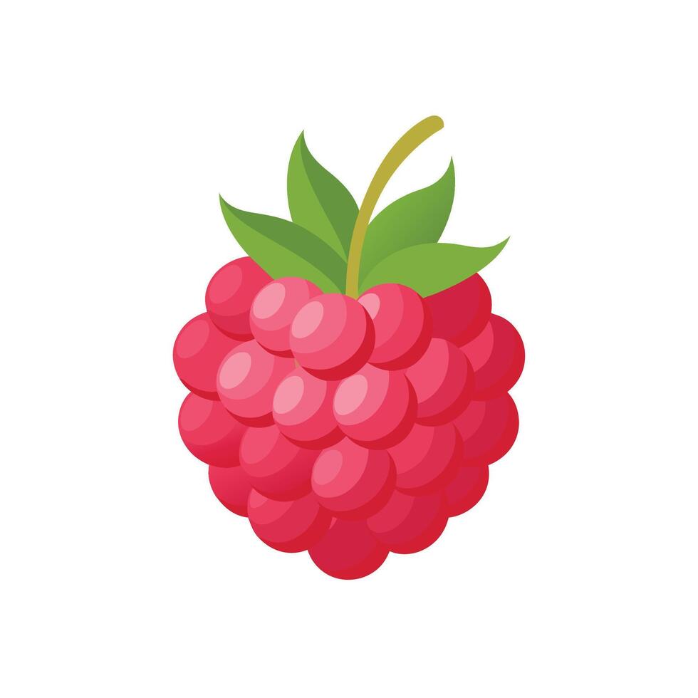EPS 10 . A raspberry isolated on white background made in simple style. Flat berry. Good for projects. vector