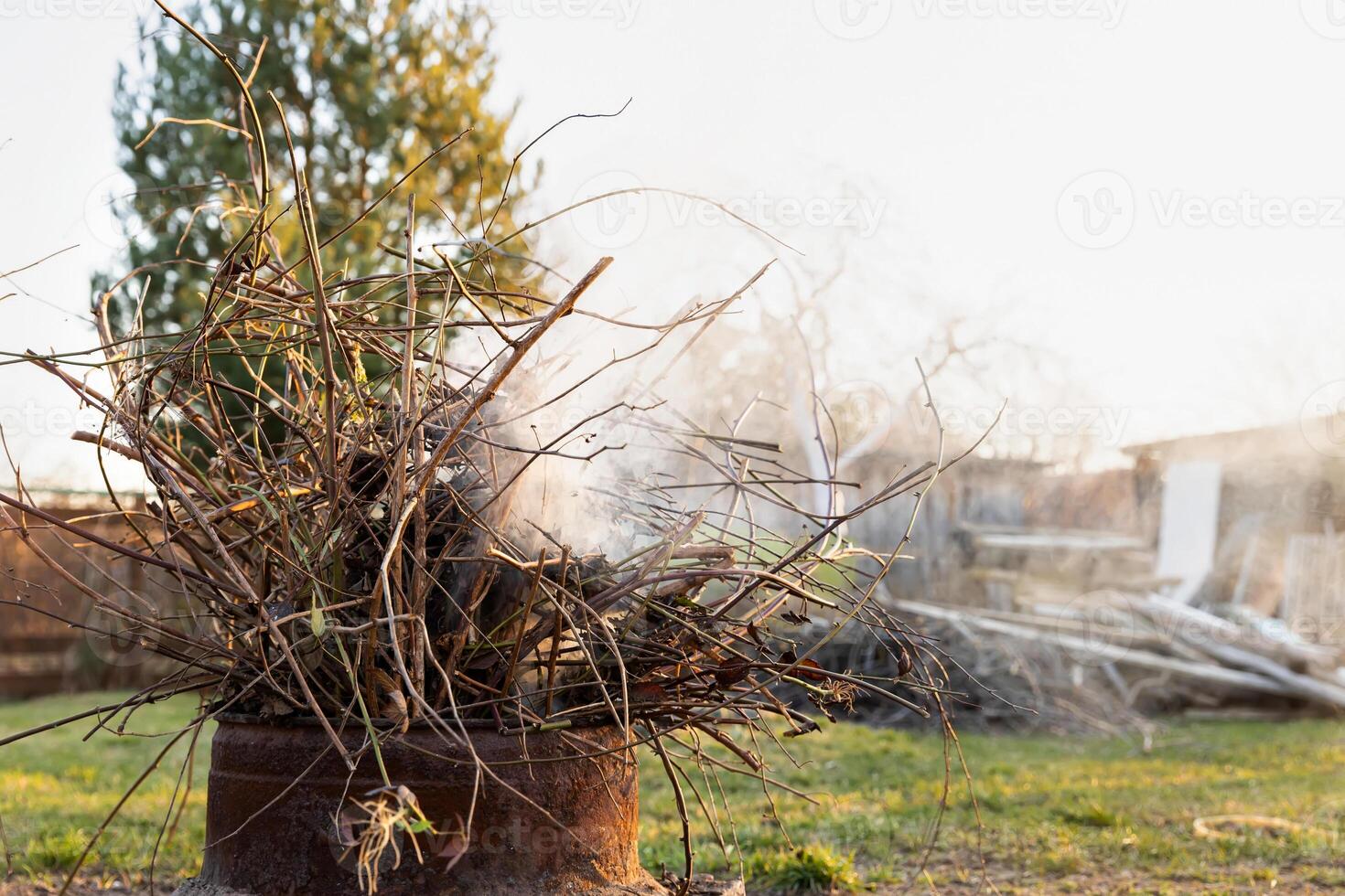 Bunch of dry twigs in pot on ground photo