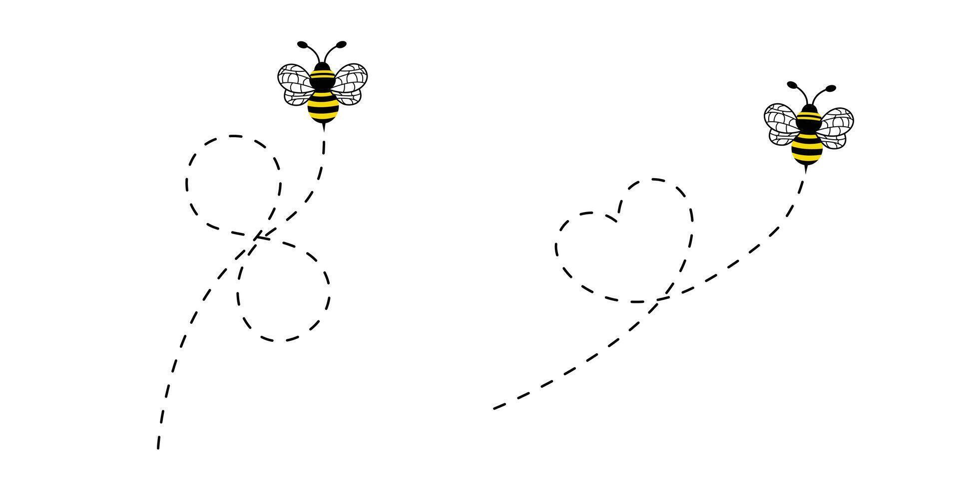 Flying bee. honey bee flying down a trail of dotted Route vector