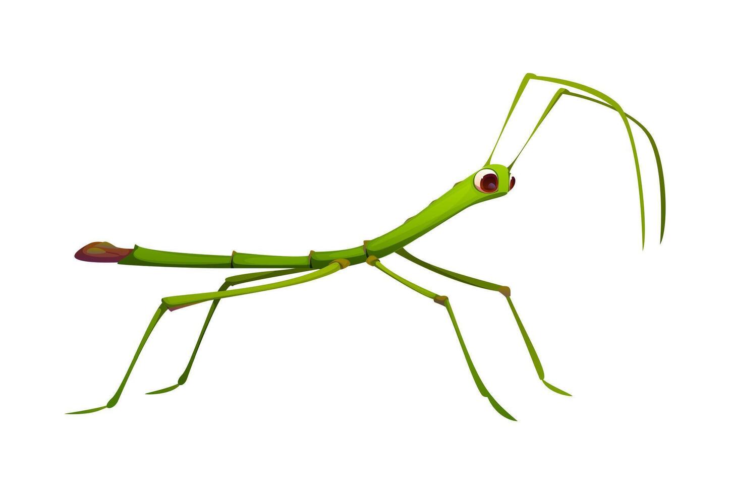 Cartoon funny stick insect character, tropical bug vector